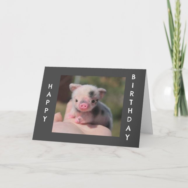 SWEET PIGLET SAY "HAPPY BIRTHDAY" CARD (Front)