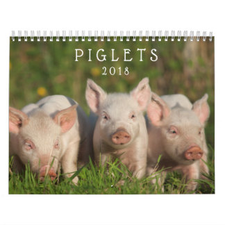 Sweet Piglets 2018 - Baby Pigs Wall Calendar