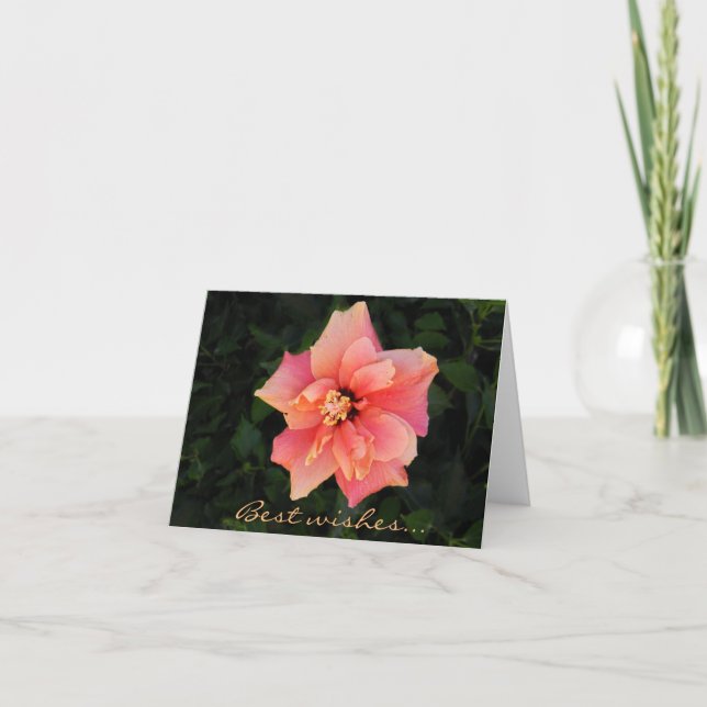 Sweet Pink Hibiscus Flower Custom Text Card (Front)