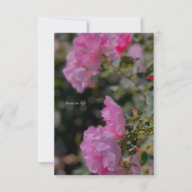 Sweet Pink Roses  Card (Front)