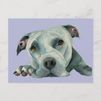 Sweet Pit Bull Dog Watercolor Painting