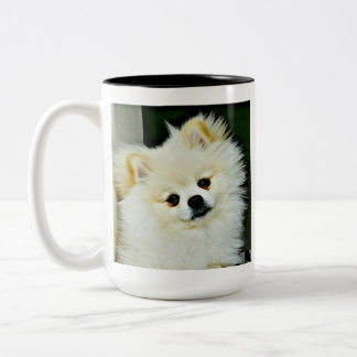 Sweet Pomeranian  Two-Tone Coffee Mug