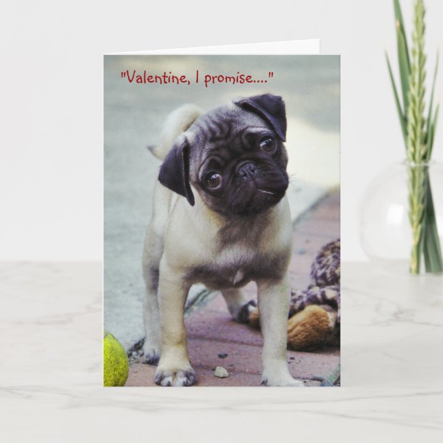 Sweet Pug Puppy Valentine #1 Greeting Card (Front)