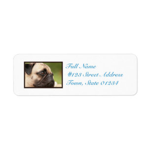 Sweet Pug Return Address Label