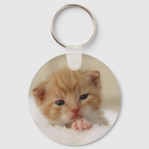 Sweet puppy kitty key ring