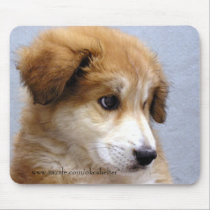 Sweet Puppy Mouse Pad
