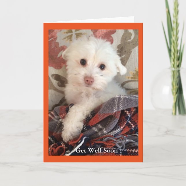 Sweet puppy wrapped in a blanket Get Well Card (Front)
