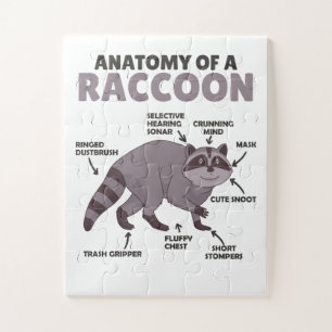Sweet Racoon Explanation Anatomy Of A Racoon Jigsaw Puzzle