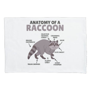 Sweet Racoon Explanation Anatomy Of A Racoon Pillowcase