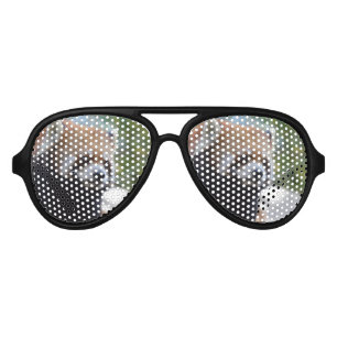 Sweet Red Panda Bear Aviator Sunglasses