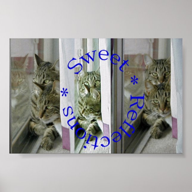 Sweet Reflections Poster (Front)