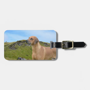 Sweet Rhodesian Ridgeback Dog Luggage Tag