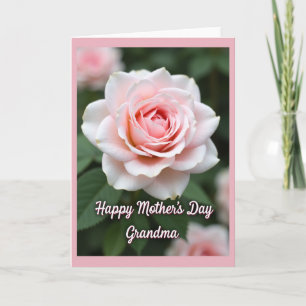 Sweet Rose Mothers Day Card