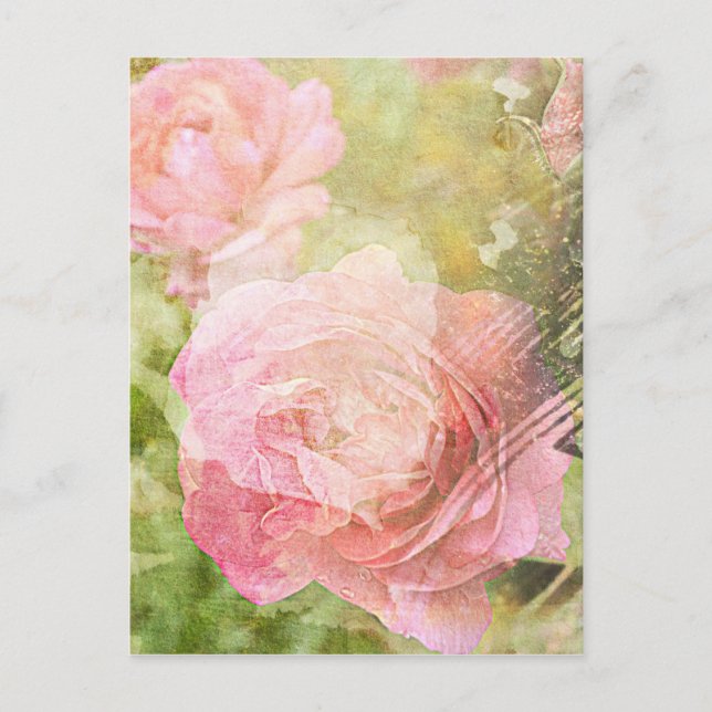 Sweet Roses Postcard (Front)