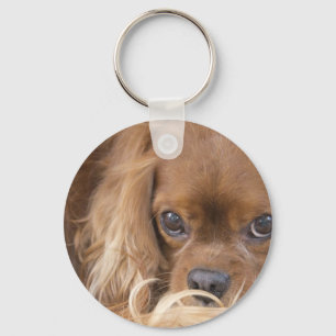 Sweet Ruby Cavalier King Charles Spaniel Key Ring