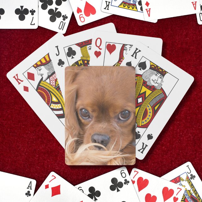 Sweet Ruby Cavalier King Charles Spaniel Playing Cards (Creator Uploaded)