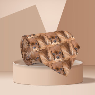 Sweet Ruby Cavalier King Charles Spaniel Tie