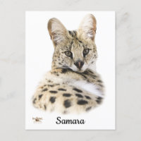 Sweet Samara