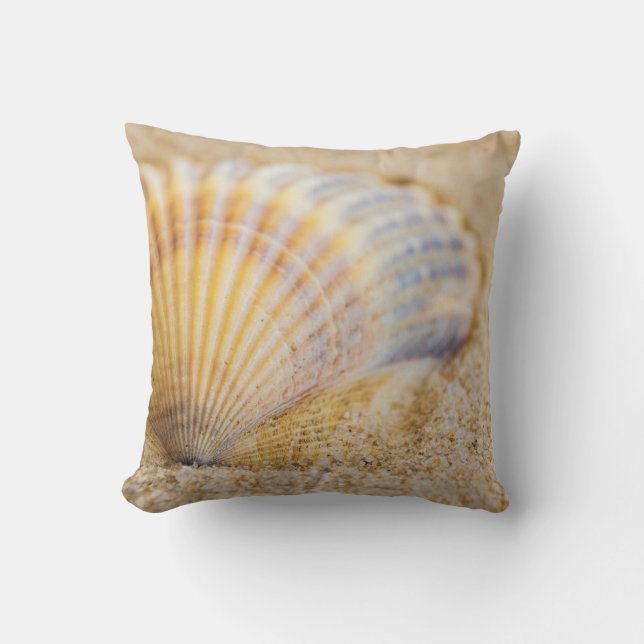 Sweet Seashell Cushion (Front)