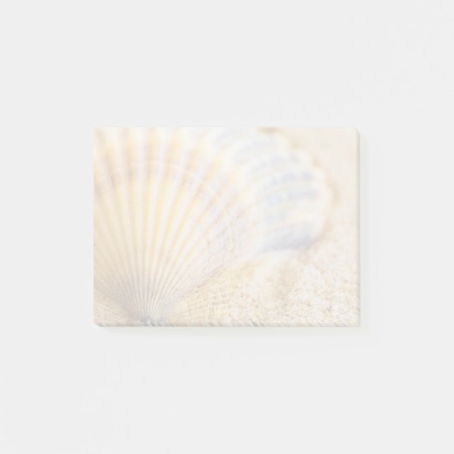 Sweet Seashell Post-it Notes (Front)