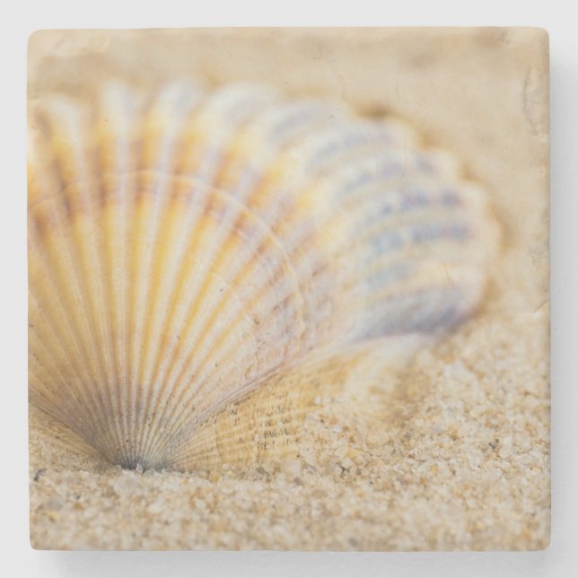 Sweet Seashell Stone Coaster (Front)