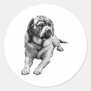 Sweet Season Mood Classic Round Sticker