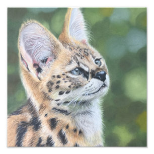 Sweet Serval Photo Print