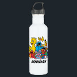 Sweet Sesame Street Pals 710 Ml Water Bottle<br><div class="desc">This cute graphic features all your favourite Sesame Street characters hanging out together.   © 2021 Sesame Workshop. www.sesamestreet.org</div>