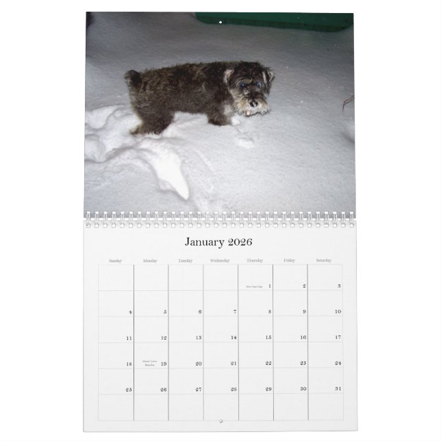 sWEET sHAMUS thru the dayZ Calendar (Jan 2026)