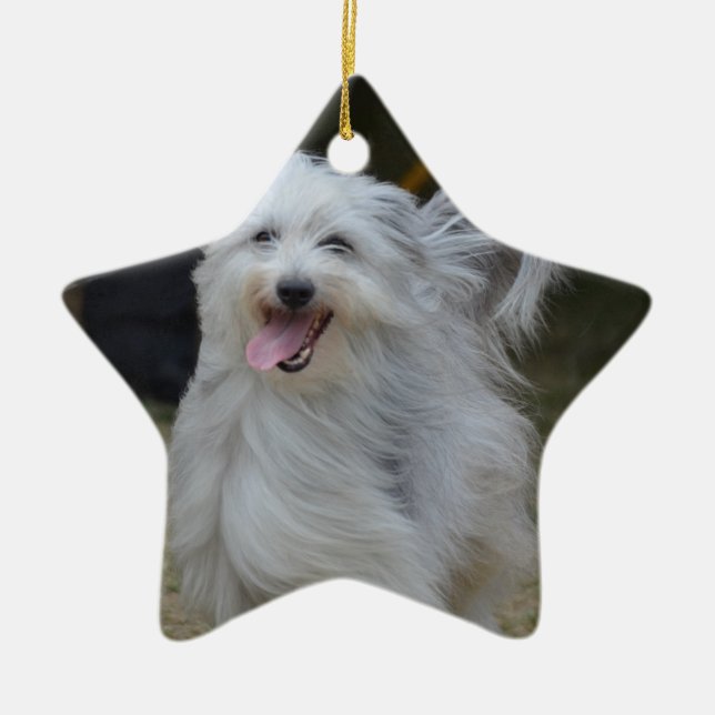 Sweet Sheepdog Ceramic Tree Decoration (Front)