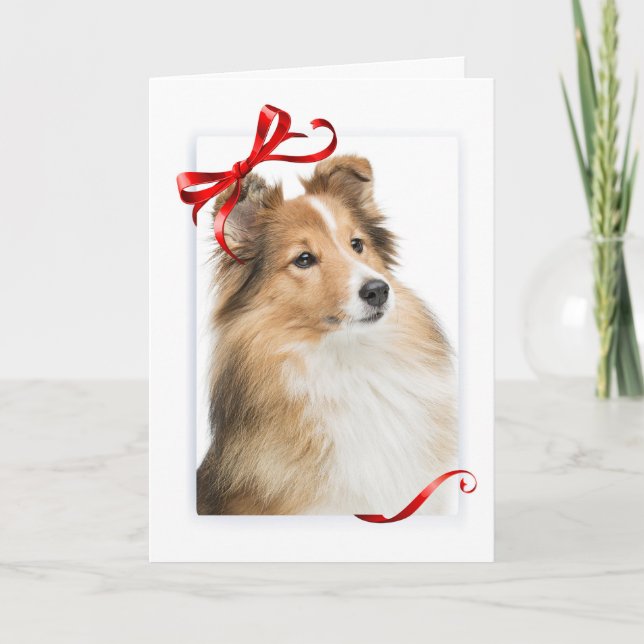 Sweet Sheltie Christmas Card (Front)