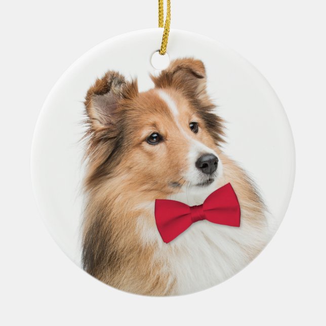 Sweet Sheltie Christmas Ornament (Front)