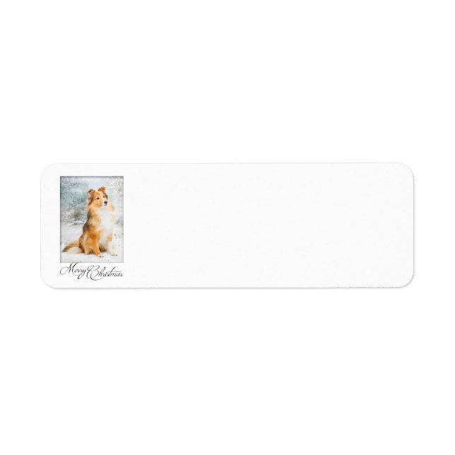 Sweet Sheltie Christmas Return Address Labels (Front)
