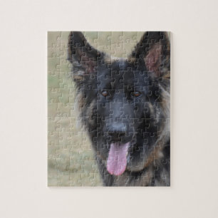 Sweet Shiloh Shepherd Jigsaw Puzzle