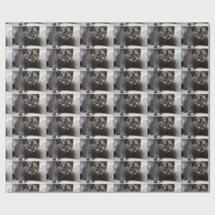 Sweet Shy Tortoiseshell Baby Wrapping Paper