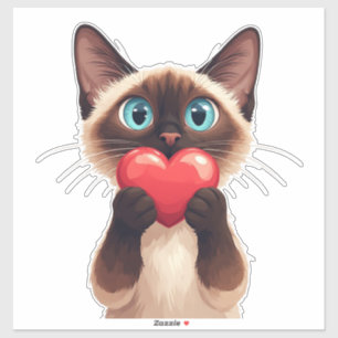 Sweet Siamese Cat With Heart And Blue Eyes 💙