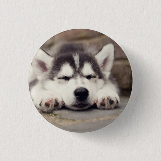 Sweet Siberian Husky Puppy Sleeping 3 Cm Round Badge (Front)