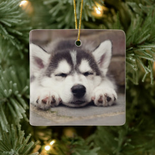 Sweet Siberian Husky Puppy Sleeping Ceramic Ornament