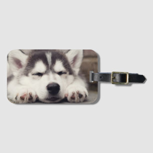 Sweet Siberian Husky Puppy Sleeping Luggage Tag