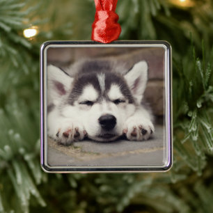 Sweet Siberian Husky Puppy Sleeping Metal Ornament
