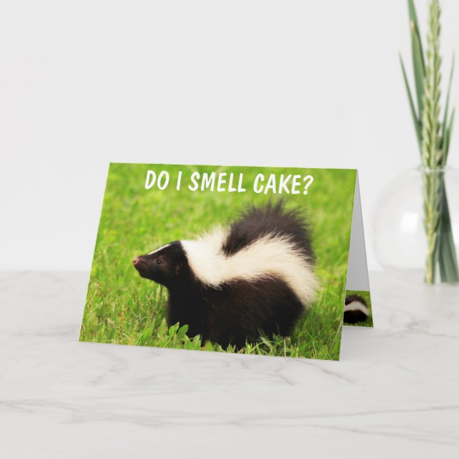 Sweet Skunk Birthday Card (Front)