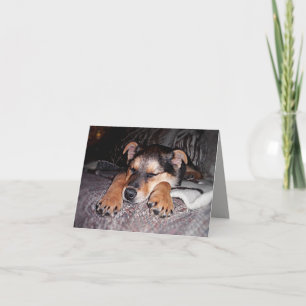 Sweet Sleeping German Shepard Puppy Card