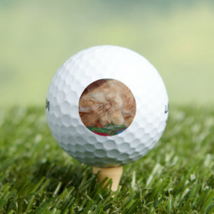 Sweet Sleeping Ginger Boy Golf Balls