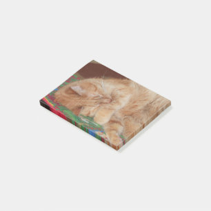 Sweet Sleeping Ginger Boy Post-it Notes
