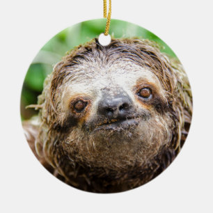 Sweet Sloth Ceramic Tree Decoration