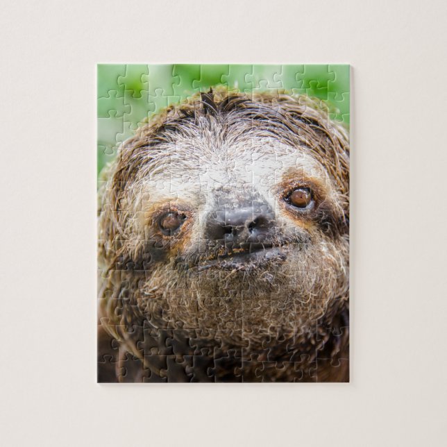 Sweet Sloth Jigsaw Puzzle (Vertical)