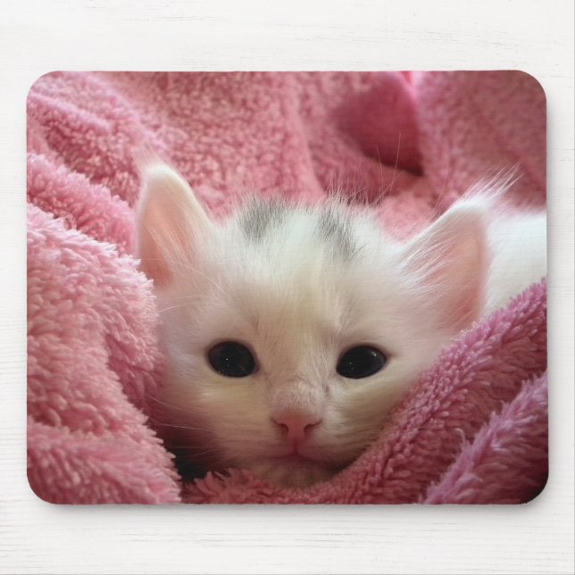 Sweet soft kitten mouse pad (Front)