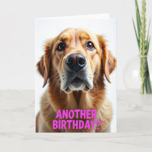 Sweet Soulful Dog Card