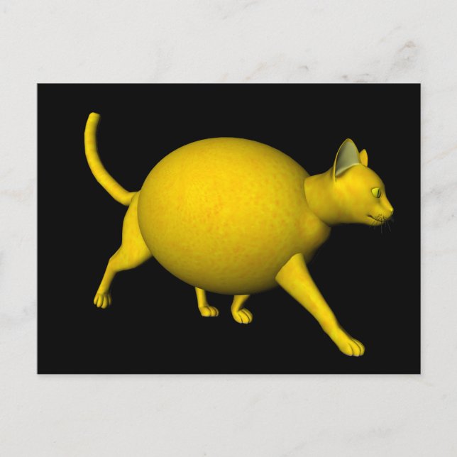 Sweet-Sour Lemon Cat Postcard (Front)