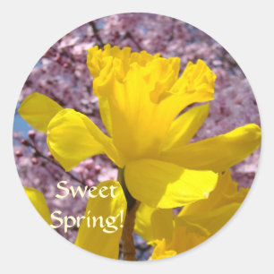 Sweet Spring! Stickers Floral Daffodils Flowers